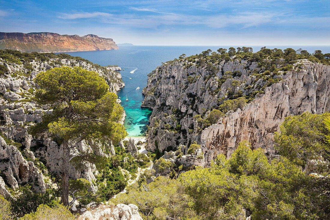 Frankreich, Bouches-du-Rhône, Nationalpark Calanques, Marseille, 9. Bezirk, Calanque d'En-Vau und das Plateau von Castel Vieil, im Hintergrund die Cap Canaille