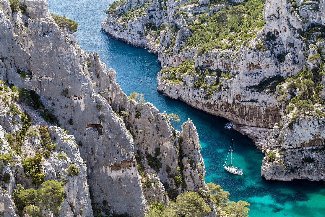 France, Bouches-du-Rhône, National park of Calanques, Marseille, 9th district, creek of En-Vau