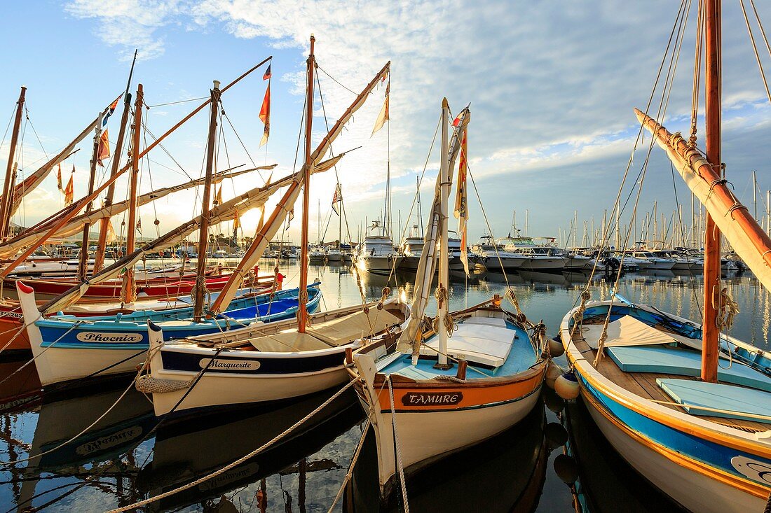 France, Var, Bandol, the port