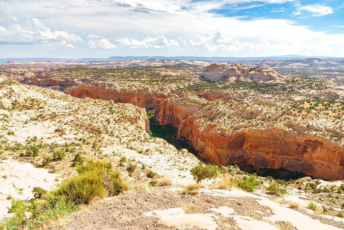 Canyon entlang der landschaftlich reizvollen Nebenstraße ut12, Utah, USA