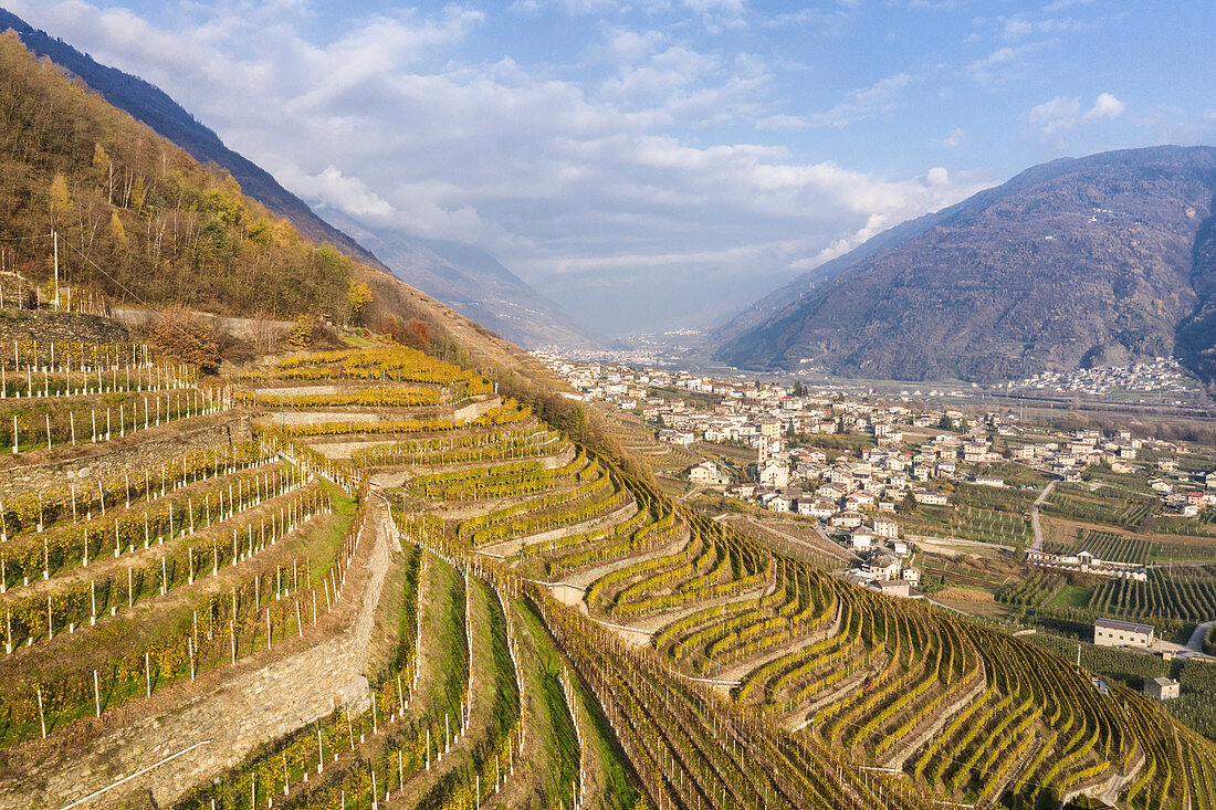 Terrassenförmig angelegte Weinberge und das Dorf Bianzone, Provinz Sondrio, Valtellina, Lombardei, Italien, Europa