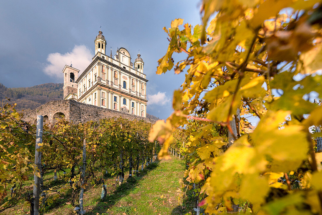 Die Weinberge der Basilika von Santa Casa di Loreto in Tresivio, Provinz Sondrio, Valtellina, Lombardei, Italien, Europa