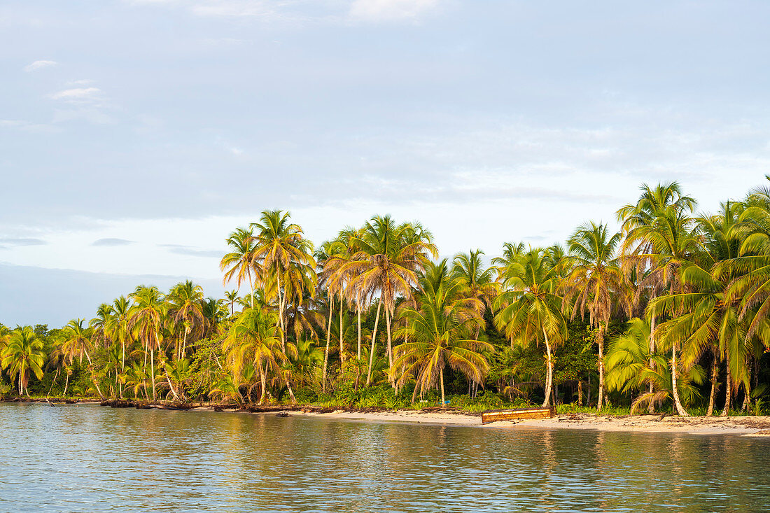 Bastimentos Insel, Provinz Bocas del Toro, Panama, Mittelamerika