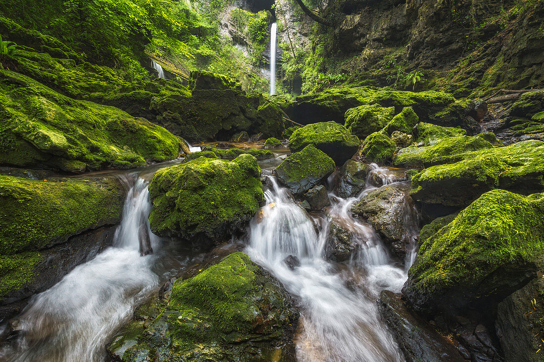 Fermona waterfall, Ferrera di Varese, Varese province, Lombardy, Italy, Europe