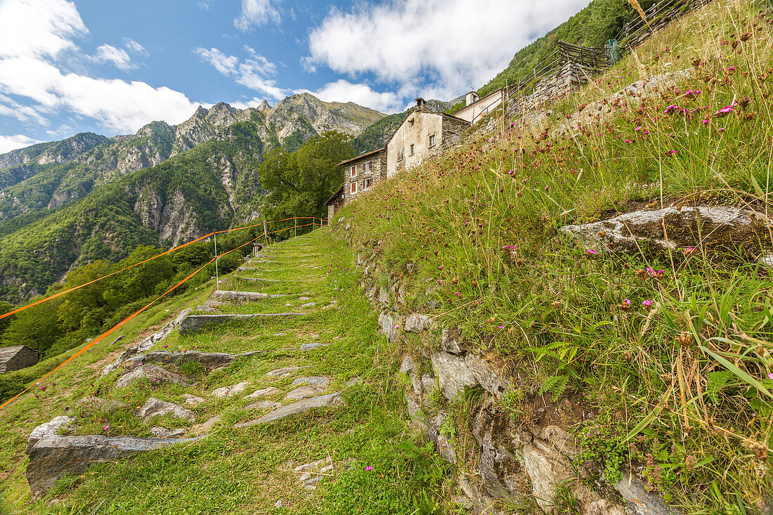 Ein Maultierpfad, der zum Dorf Dasile, Piuro, Chiavenna-Tal, Provinz Sondrio, Lombardei, Italien, Europa führt