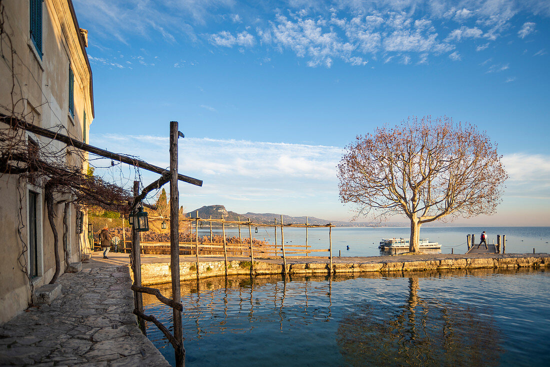 Punta San Vigilio, Verona province, Veneto, Italy, Europe. Old building in front of the bay and a big tree on the dock