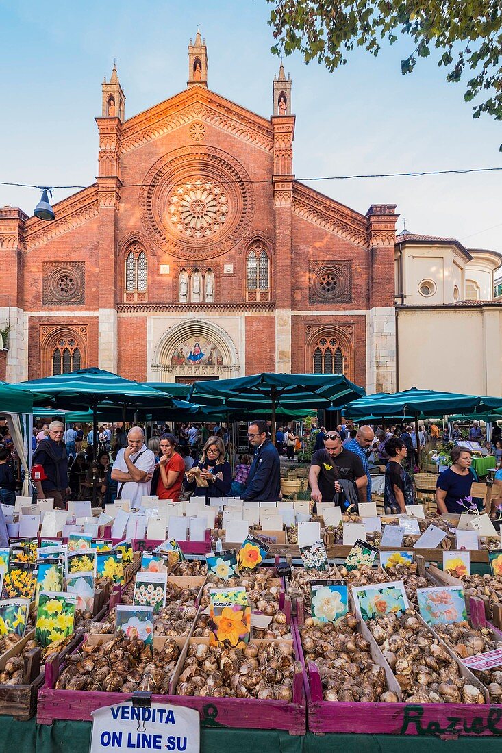 Italy, Lombardy, Milan, flower market place Piazza San Marco and church San Marco