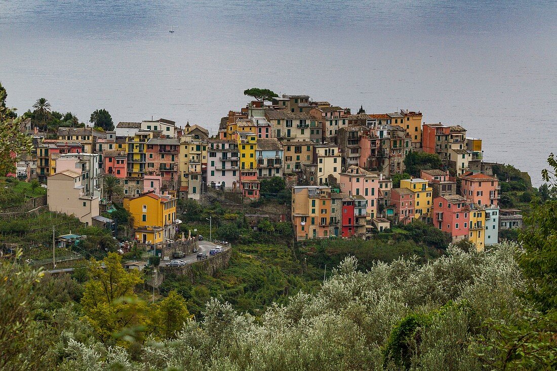 Italien, Ligurien, Nationalpark Cinque Terre, UNESCO-Weltkulturerbe, Corniglia