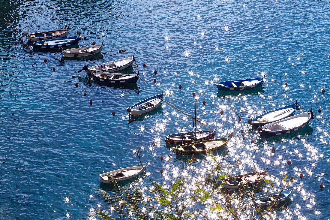 Italy, Liguria, Cinque Terre National Park listed as World Heritage by UNESCO, Vernazza
