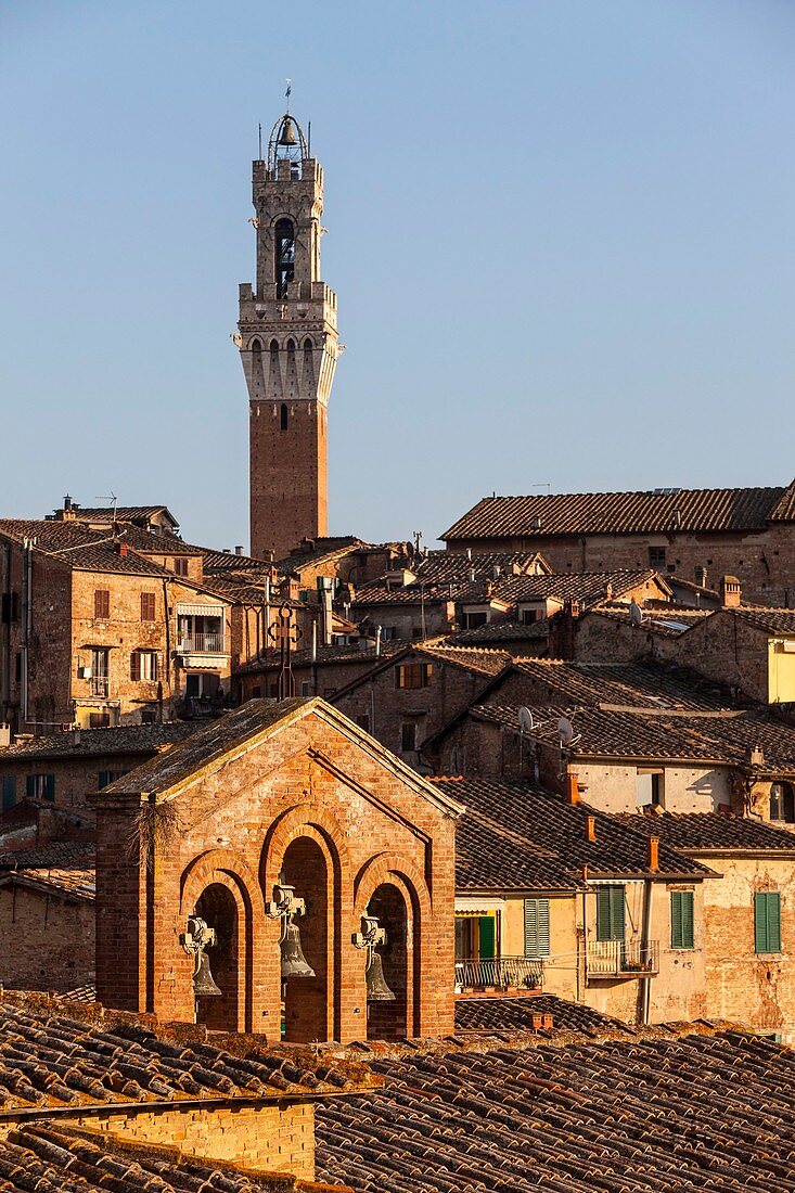 Italy, Tuscany, Sienna, historical centre listed as World Heritage by UNESCO