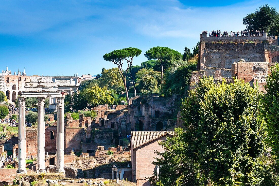 Italien, Latium, Rom, Historisches Zentrum, UNESCO-Weltkulturerbe, Forum Romanum, mit dem Tempel von Castor und Pollux, Palatin auf der rechten Seite