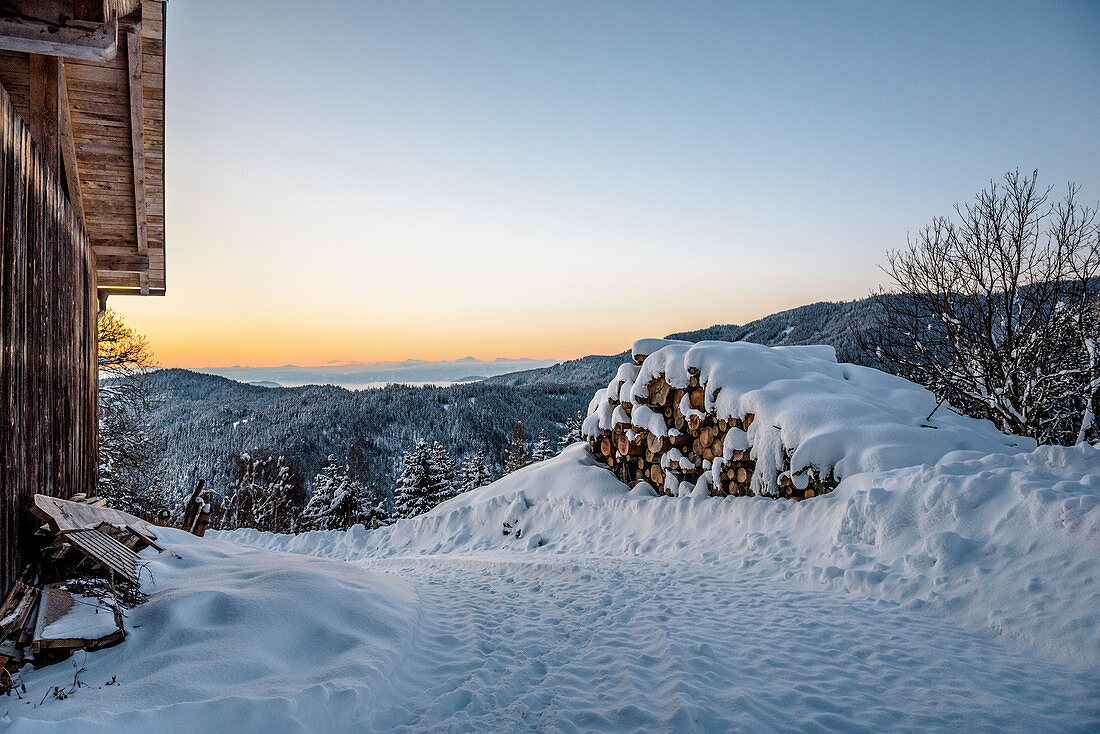 Snowy winter landscape with coniferous forest at sunrise, Himmelberg, Carinthia, Austria