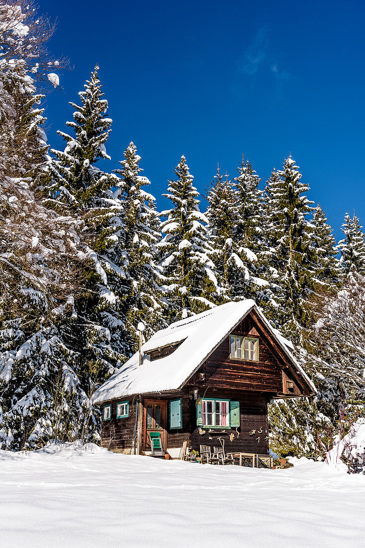 Hut in snowy winter landscape with coniferous forest at sunrise, Himmelberg, Carinthia, Austria