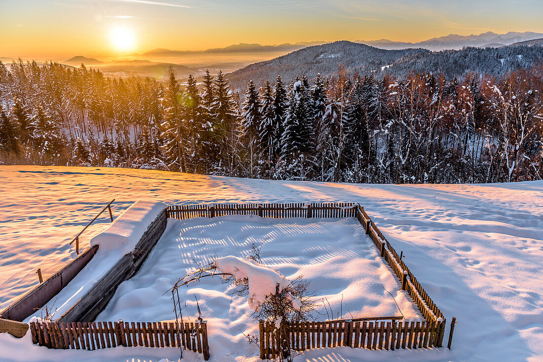 Verschneite Winterlandschaft mit Nadelwald und Bauerngarten bei Sonnenaufgang, Himmelberg, Kärnten, Österreich