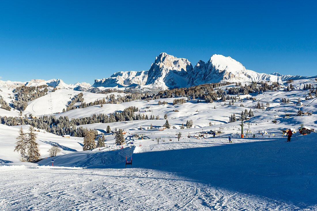 Ski area Alpe di Siusi, South Tyrol, Italy