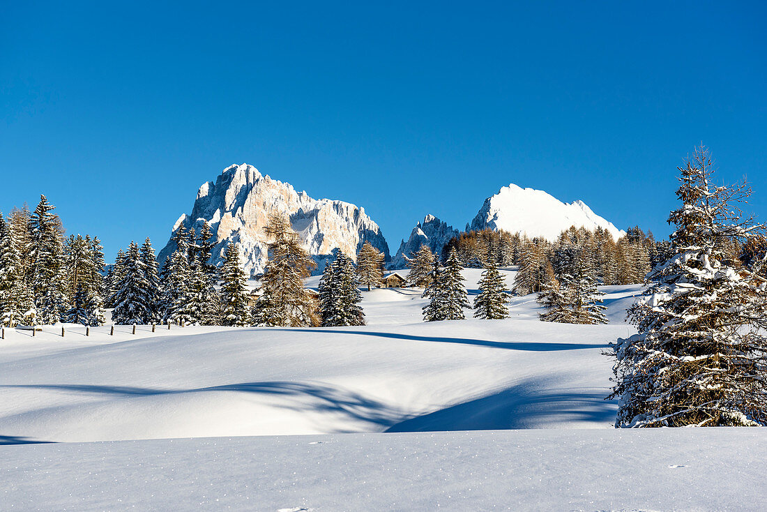 Winterlandschaft im Skigebiet Seiser Alm, Südtirol, Italien