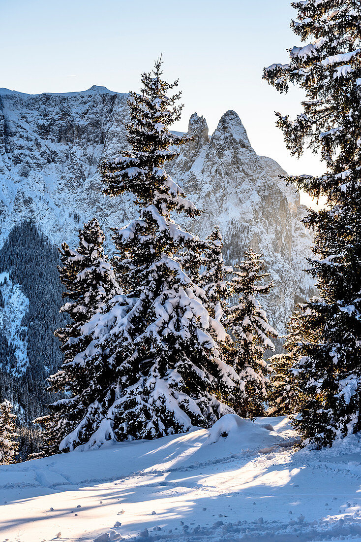 Sunset in the Seiser Alm ski area, South Tyrol, Italy