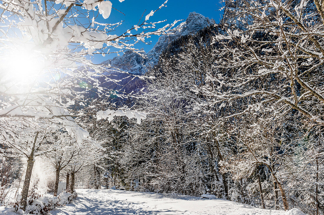 Verschneite Winterlandschaft, Bad Ratzes, Südtirol, Italien