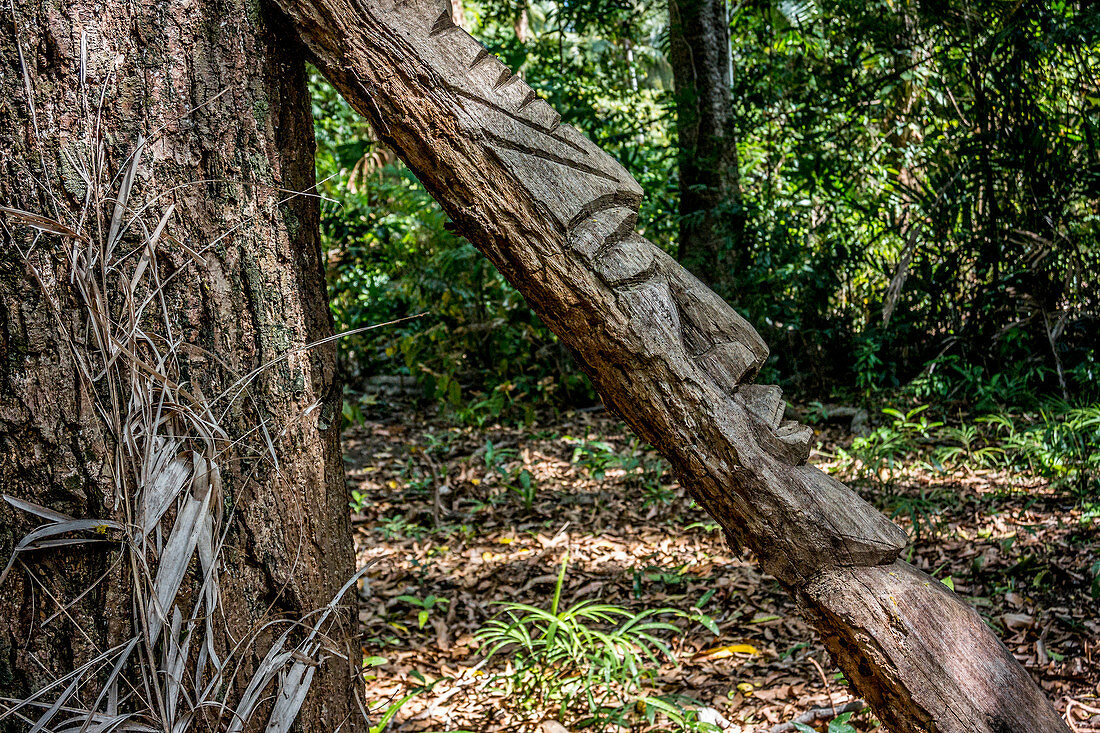 Holzfiguren auf einem Ritual Platz, Wala Island, Malekula, Vanuatu, Südsee, Ozeanien