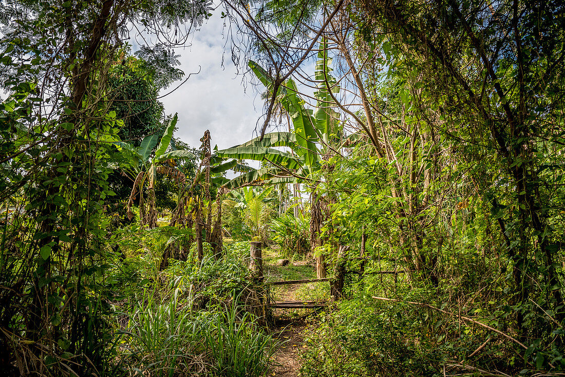 Entrance to a garden, Efate, Vanuatu, South Pacific, Oceania