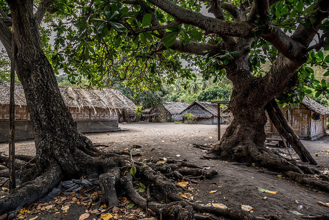 Traditional village with straw huts on Malekula, Vanuatu, South Pacific, Oceania