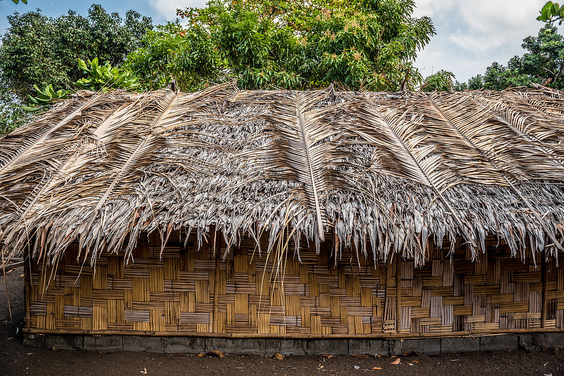 Straw hut covered with palm fronds, Malekula, Vanuatu, South Pacific, Oceania