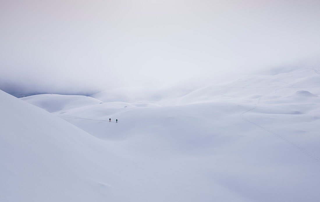 Ski tour through a wide snow field with hills and low clouds on the Tajakopf in Ehrwald