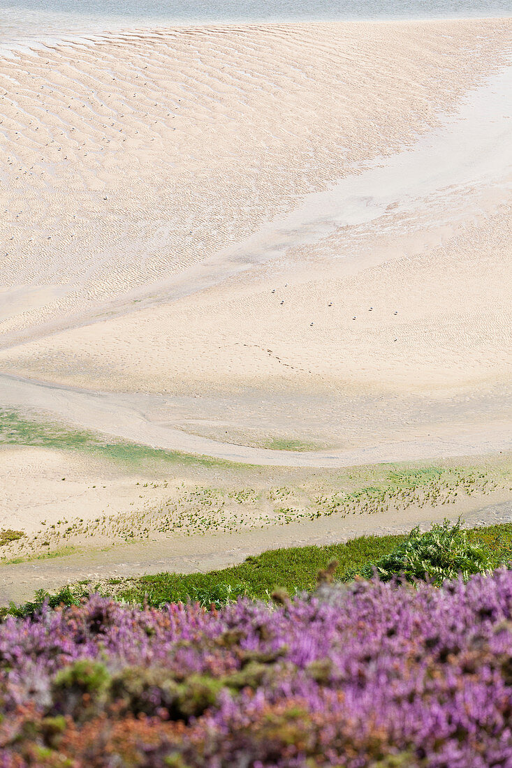 The bay of Sable d Or at Erquy at low tide is abstract. Located between Cap Frehel and Cap Erquy. Brittany, France.