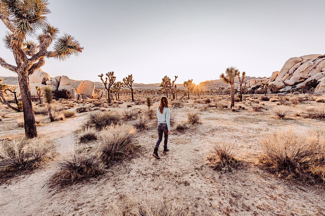 Frau läuft durch Joshua Tree National Park, Joshua Tree, Los Angeles, Kalifornien, USA, Nordamerika