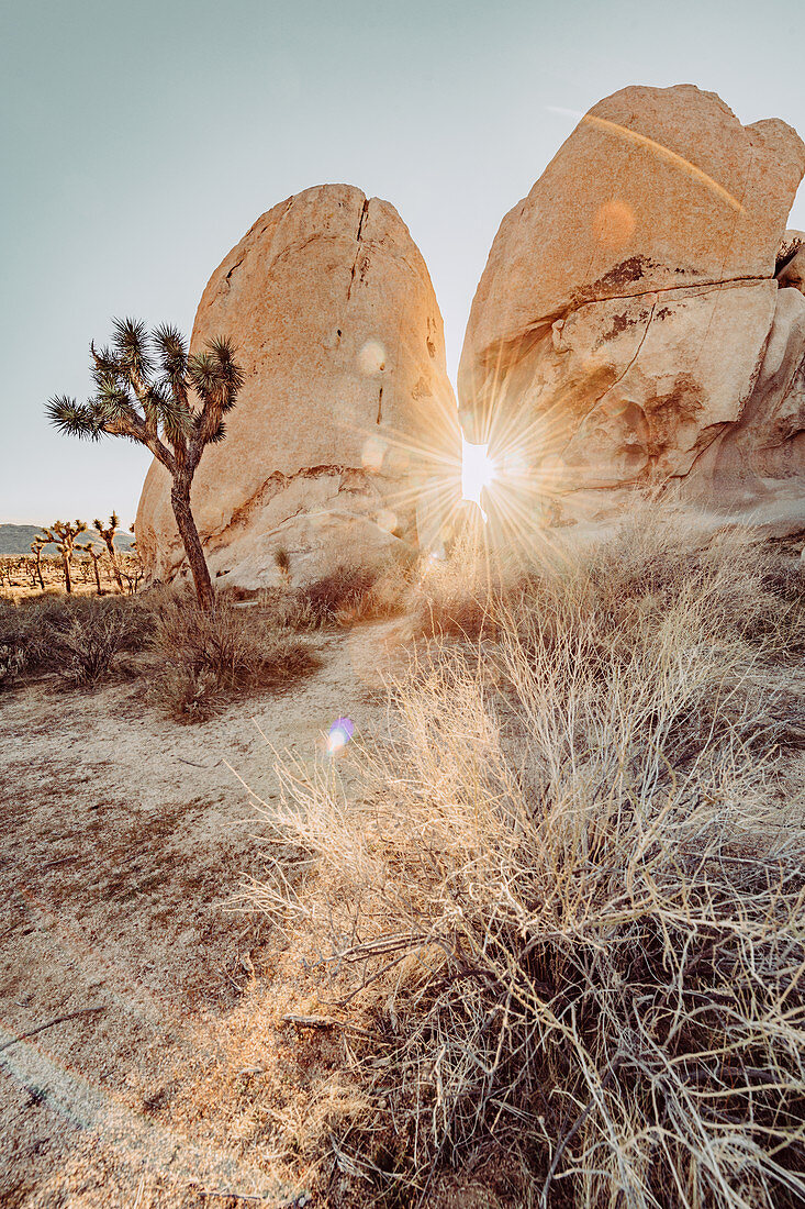 Sun shines through crevice in Joshua Tree National Park, Joshua Tree, Los Angeles, California, USA, North America