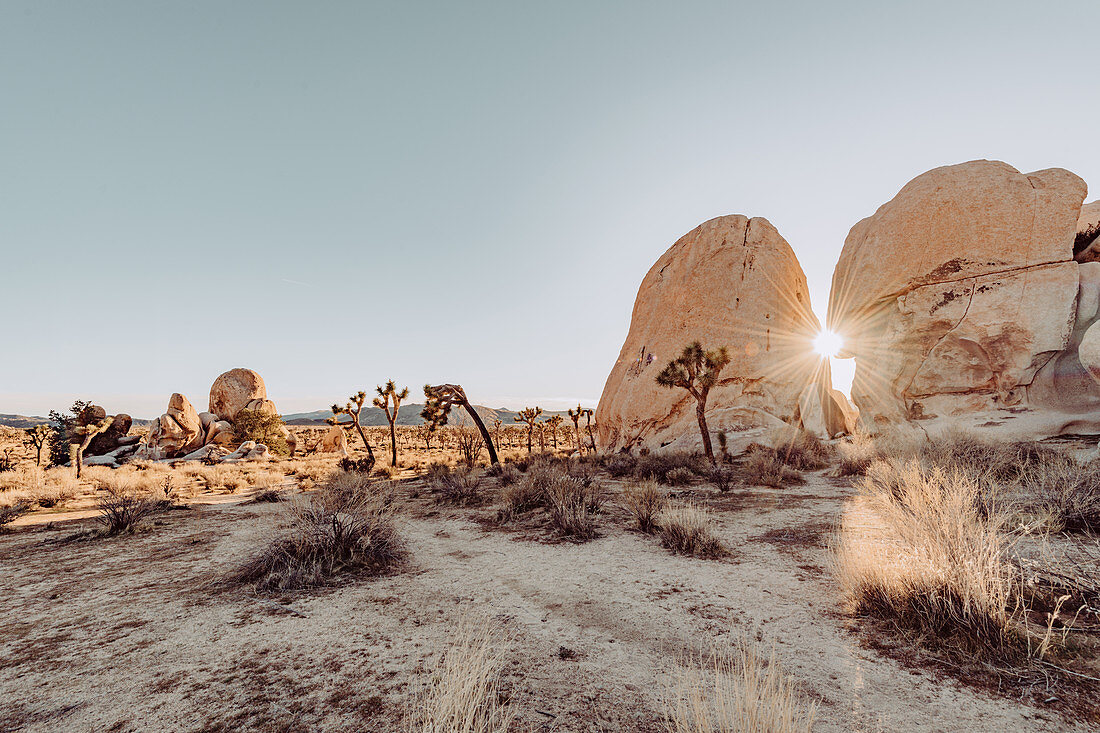 Sonne scheint durch Felsspalt im Joshua Tree National Park, Joshua Tree, Los Angeles, Kalifornien, USA, Nordamerika