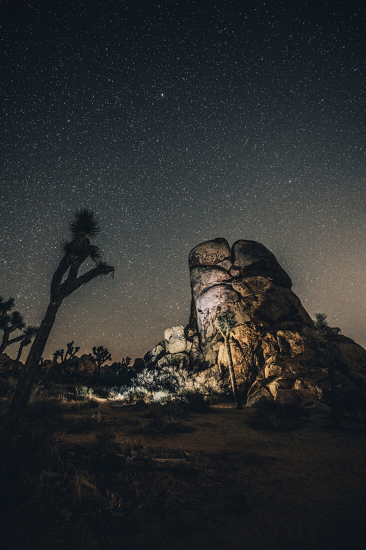 Illuminated granite rock under a starry sky in Joshua Tree National Park, Joshua Tree, Los Angeles, California, USA, North America