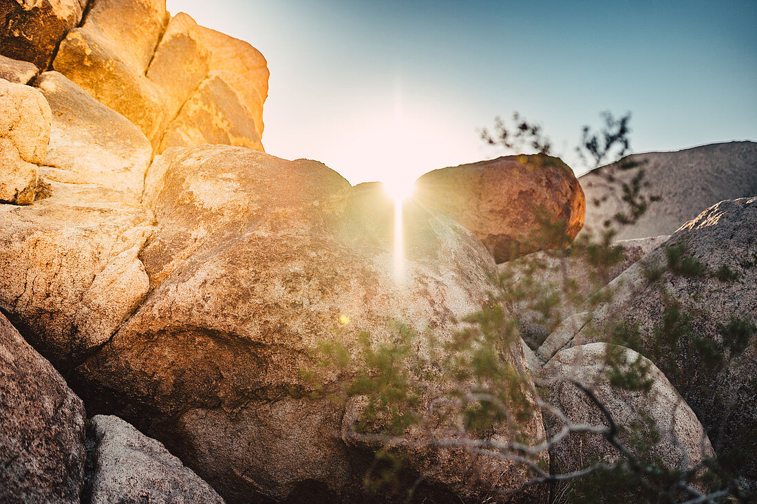 Felsen bei Sonnenaufgang im Joshua Tree National Park, Los Angeles, Kalifornien, USA, Nordamerika