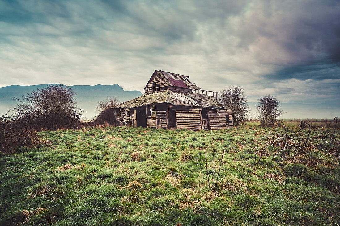 Abandoned Woolshed in Liffey, Tasmania