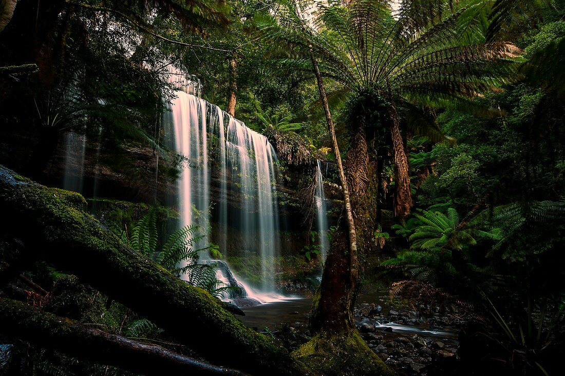 Russell Falls am Mt. Field Nationalpark, Tasmanien