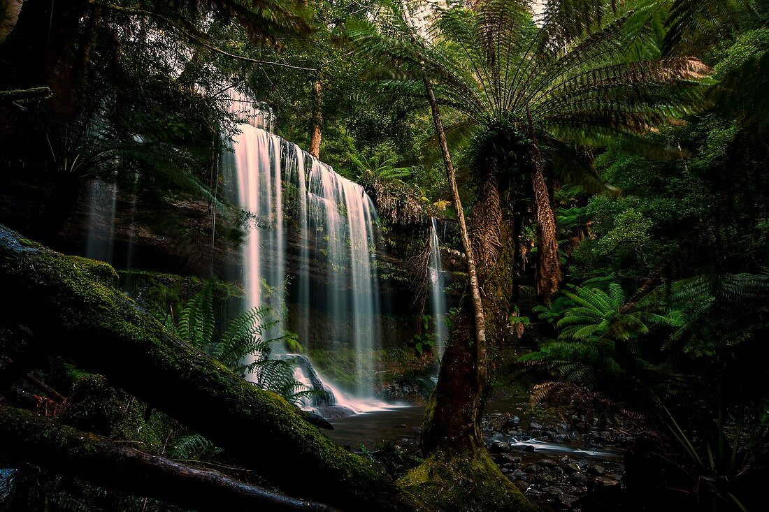 Russell Falls at Mt. Field National Park, Tasmania