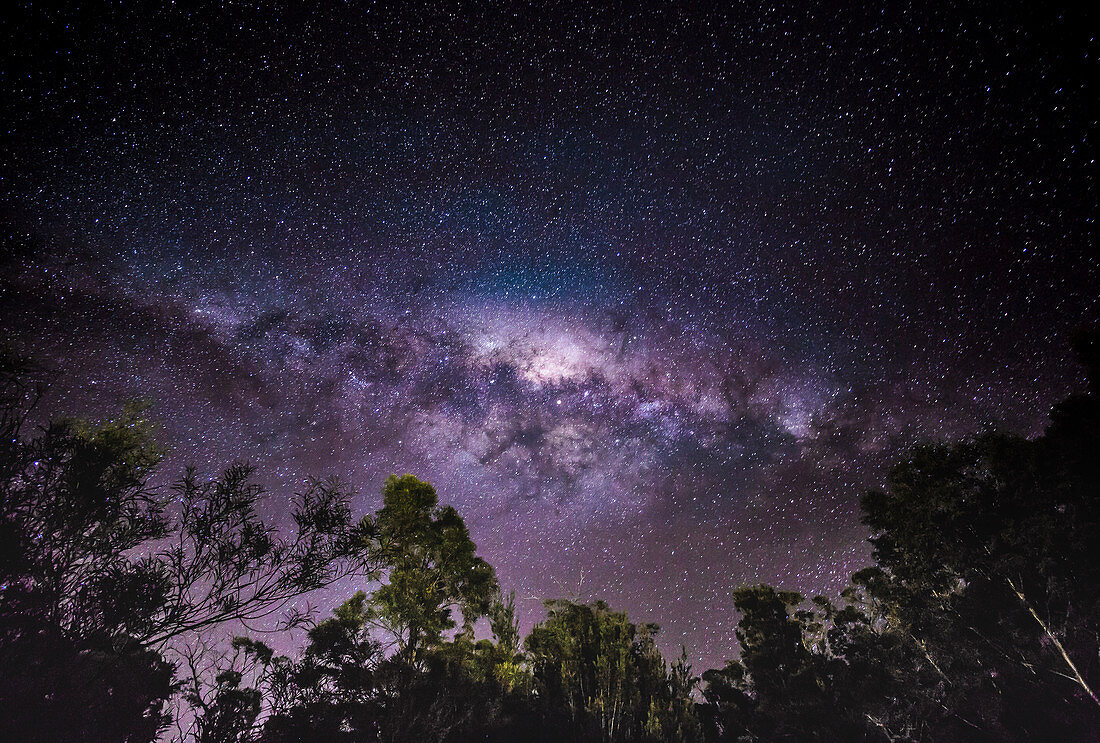Milchstraße über Coles Bay, Tasmanien