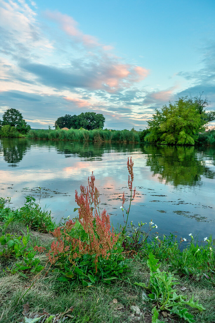 Evening mood near Schwarzach am Main, Kitzingen, Lower Franconia, Franconia, Bavaria, Germany, Europe