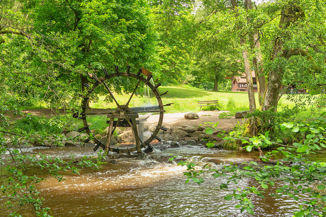 Water wheel on the Waldnaab, Waldnaabtal, Falkenberg, Tirschenreuth, Upper Palatinate, Bavaria, Germany