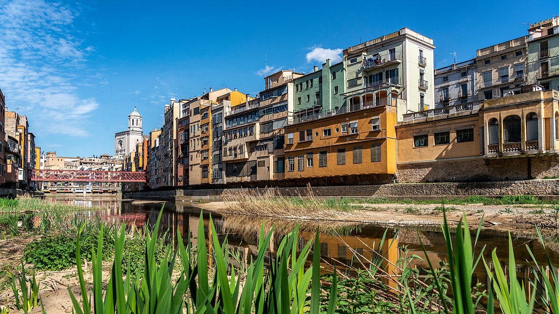 bunte Häuser am Fluss Onyar in Girona, Kathedrale, Katalonien, Spanien