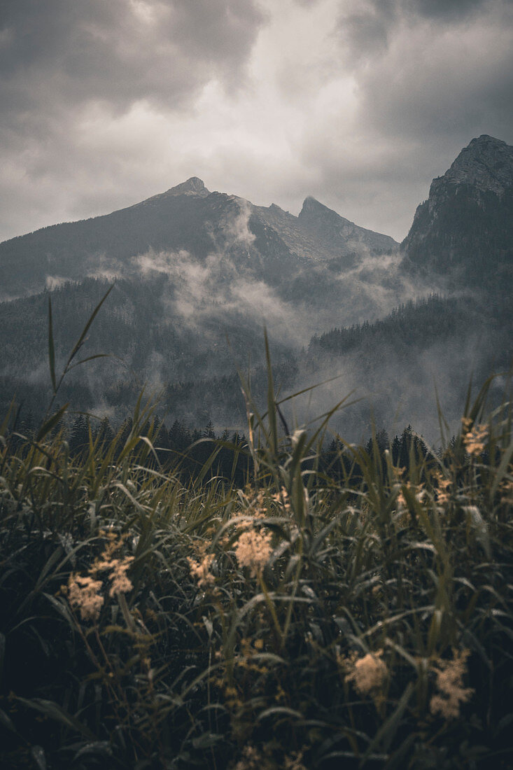 Stimmungsvolles regnerisches Wetter am Hintersee, Berchtesgadener Land, Bayern, Deutschland