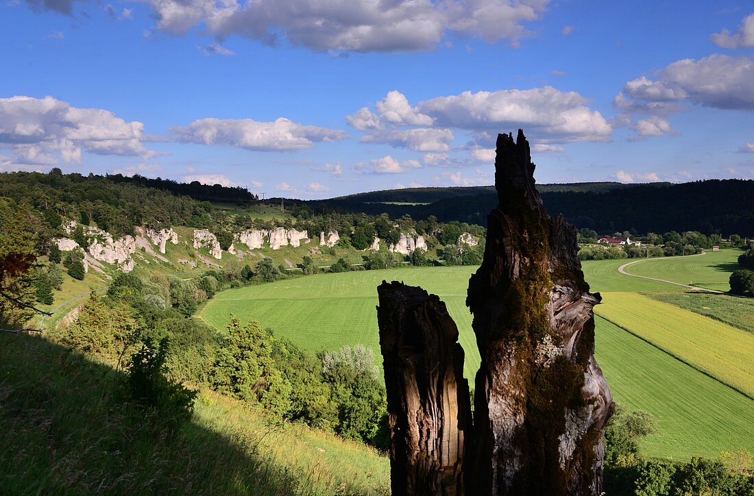 12 apostles near Solnhofen, landscape, rocks, meadow, tree stump, clouds, Altmuehltal, North Upper Bavaria, Bavaria, Germany