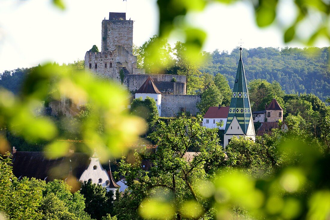 View of Pappenheim with castle, church tower, leaves, Altmuehltal, North Upper Bavaria, Bavaria, Germany