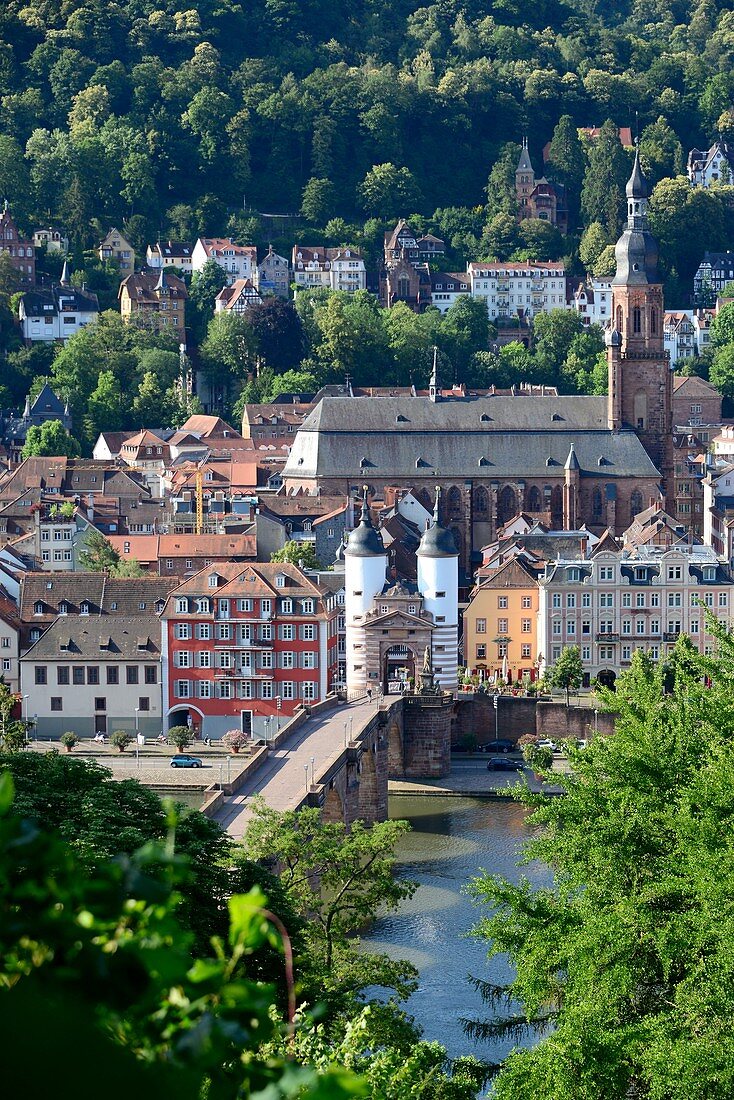 View from Philosophenweg on Heidelberg am Neckar, Stadtpfarr church, Middle Ages, river, bridge, houses, forest, Baden-Württemberg, Germany