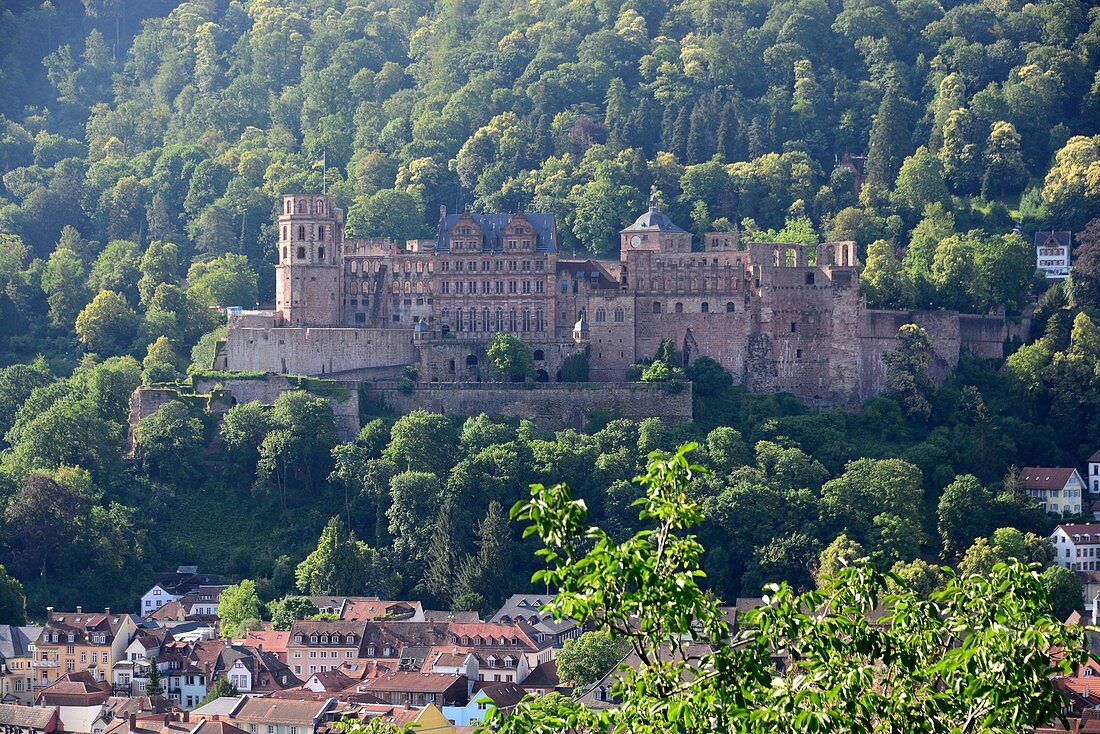 Burg von Heidelberg am Neckar, Mittelalter, Wald, Ansicht, Ruine, Baden-Württemberg, Deutschland