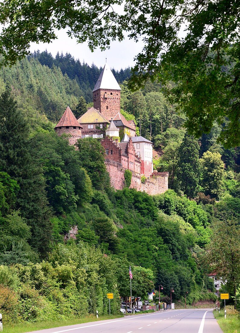 Burg Zwingenberg im Neckartal, Straße, Landstraße, Wald, Baden-Württemberg, Deutschland