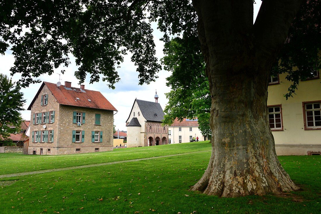 Romanesque King's Hall of Lorsch, building, oak, tree, UNESCO World Heritage Site, Middle Ages, Hesse, Germany