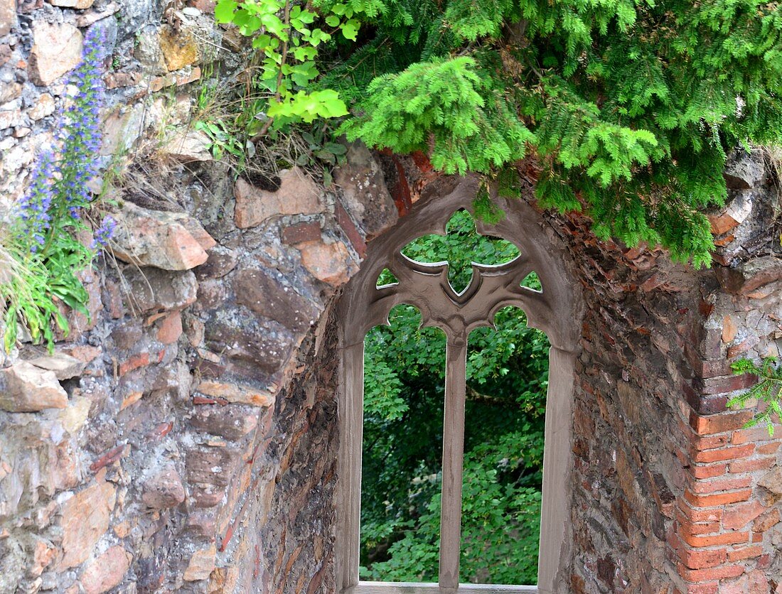 Castle ruins Auerbach near Bensheim, Middle Ages, castle window, forest, Hesse, Germany