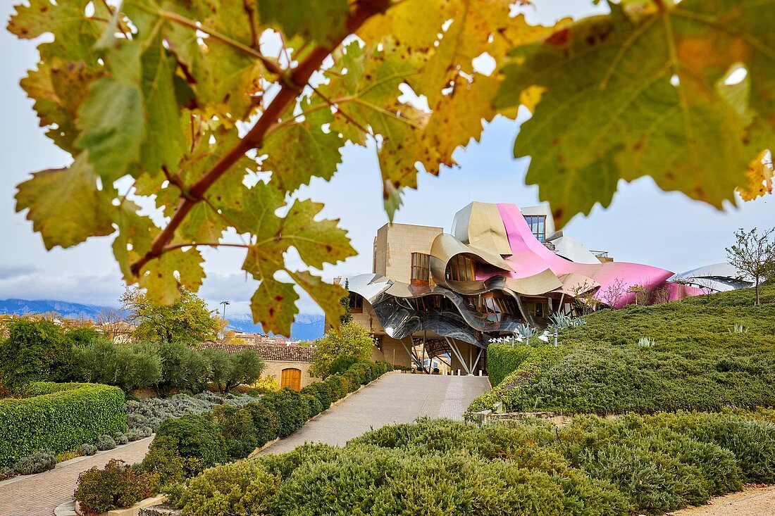 Weinberge im Herbst, die Stadt des Weins, Weingut Marques de Riscal, Gebäude von Frank O. Gehry, Elciego, Alava, Rioja Alavesa, Baskenland, Spanien, Europa