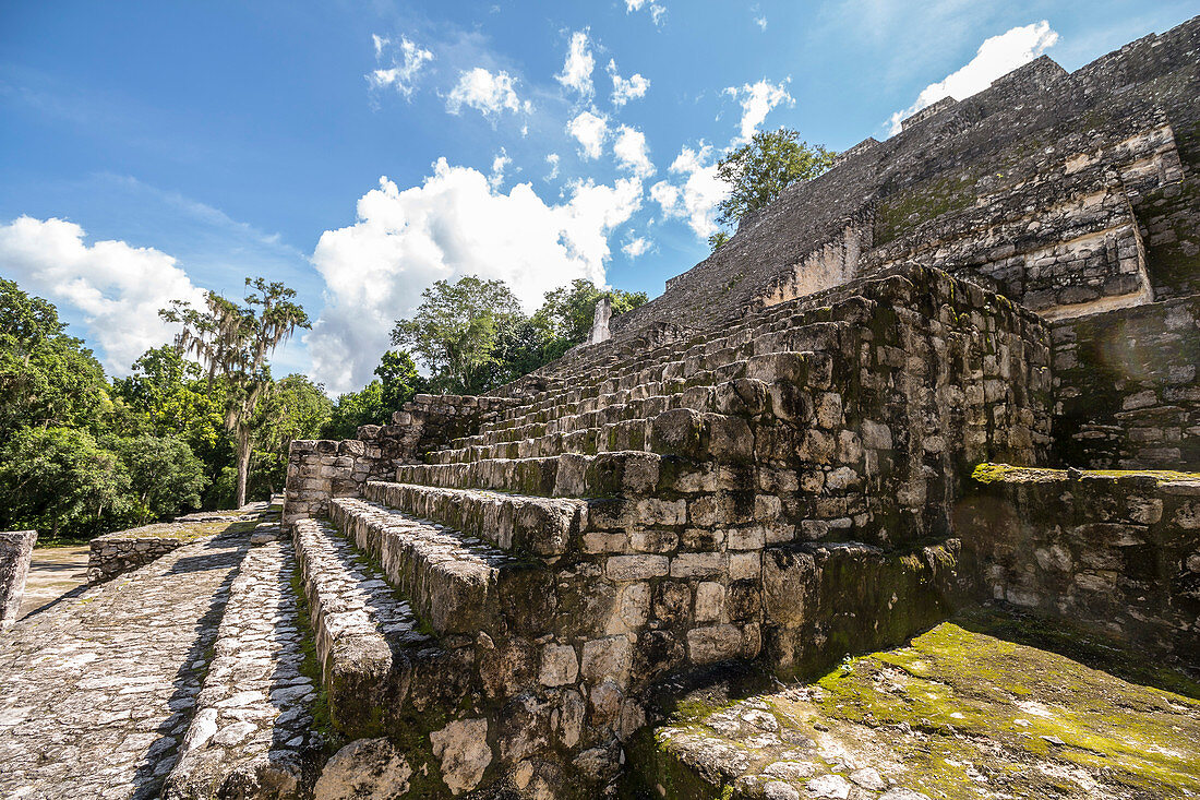 Treppe von Maya Pyramide auf Calakmul Tempel Gelände im Dschungel, Yucatan Halbinsel, Mexiko